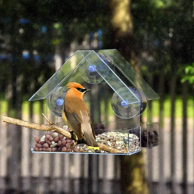 Transparent Bird Feeder House Suction Cup Window Gazebo