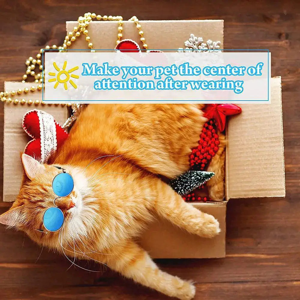 Stylish Pet Sunglasses for Cats and Dogs for Photo Fun