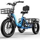 Cybervelo Adult Folding Fat Tire E-Tric