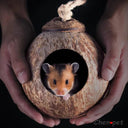 Natural Coconut Small Pet Cage And Wooden Hamster House