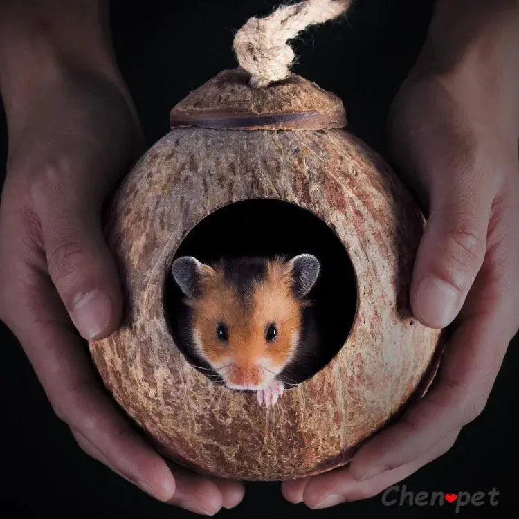 Natural Coconut Small Pet Cage And Wooden Hamster House