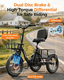 Folding Electric Trike For Adults