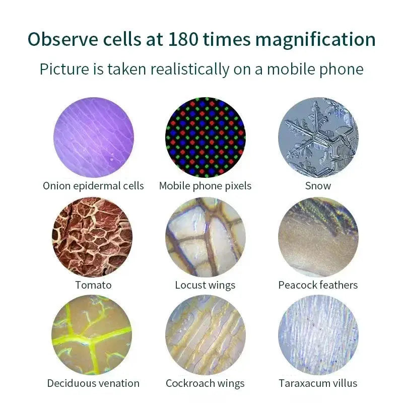 Kid Science Pocket Microscope Toy Kit 60 To 120x Educational