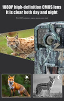 Night Vision Trail Camera for Hunters