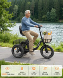 Folding Electric Trike For Adults
