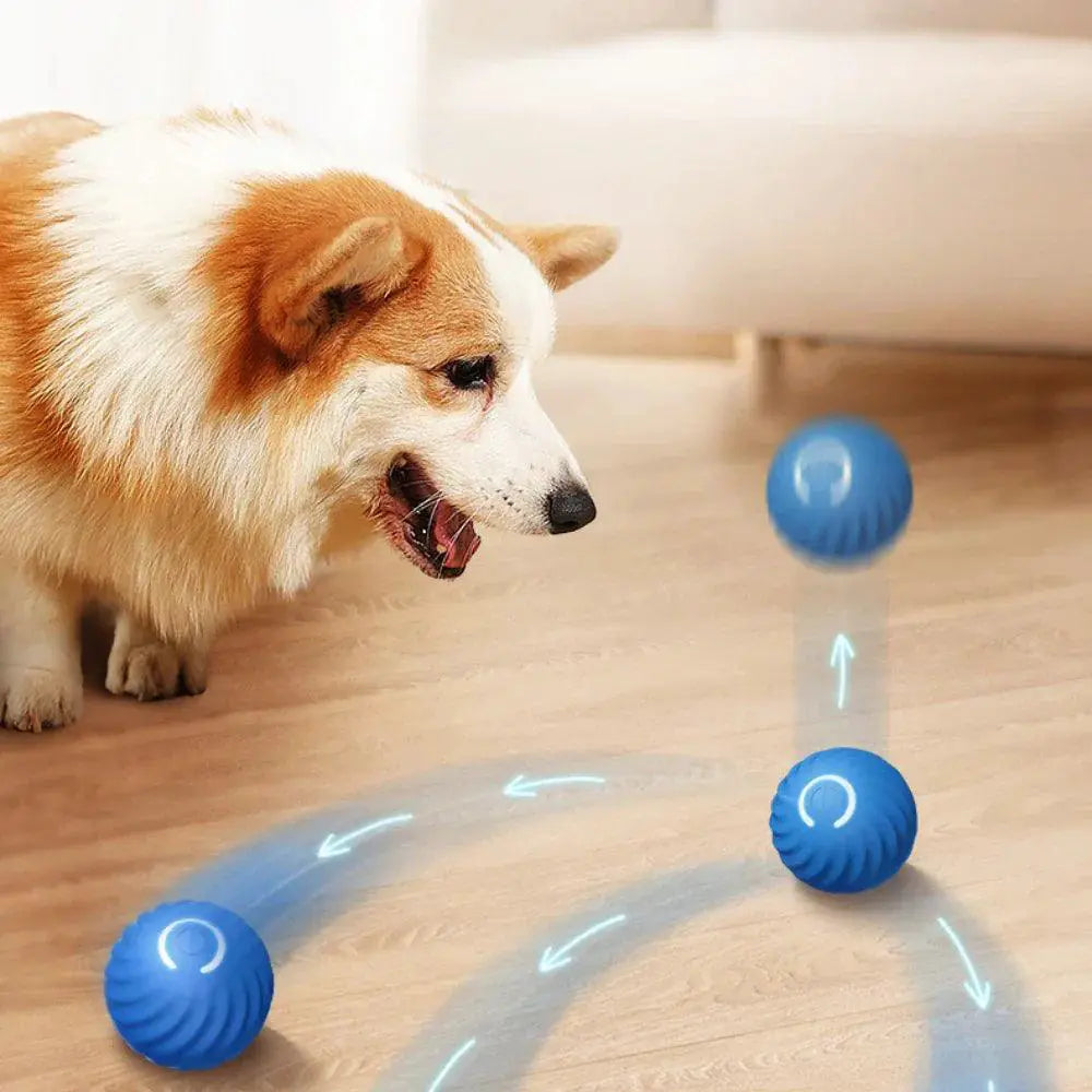Smart LED Dog Toy Ball With Lights Stimulates Spirit