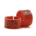 Bird Training Rings: Colorful Tools for Parrot Use