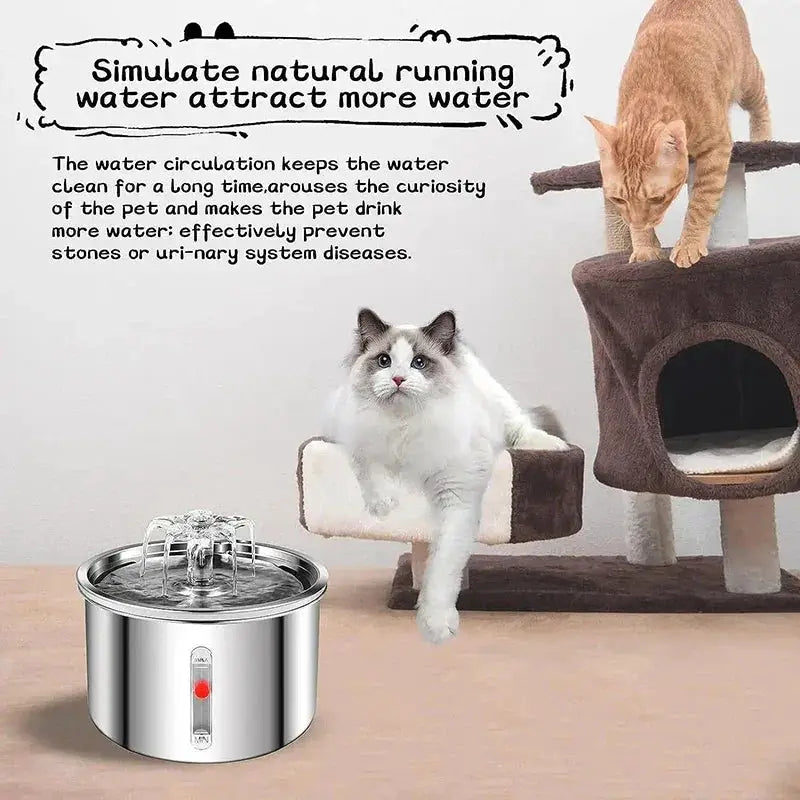 2L Pet Water Fountain Stainless Steel Automatic Dispenser