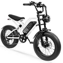 Eskute V300 750W Fat Tire Electric Dirt Bike