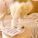 Effortless Pampas Grass Decor for Home