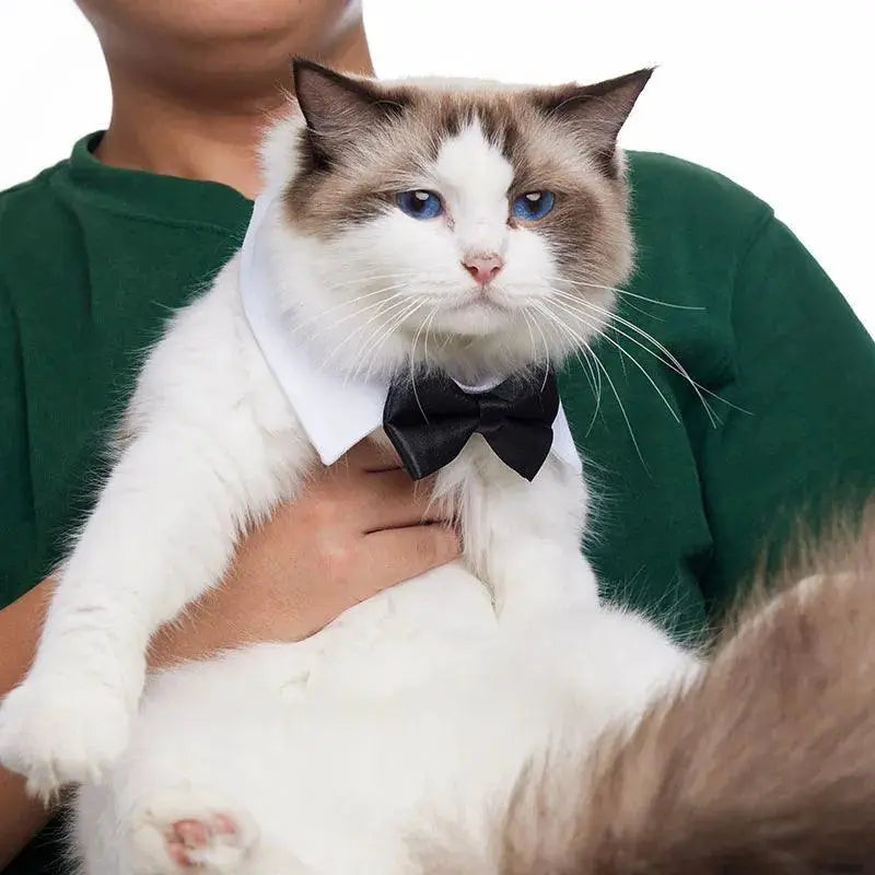 Adjustable Pet Bow Tie For Small Dogs And Cats Grooming