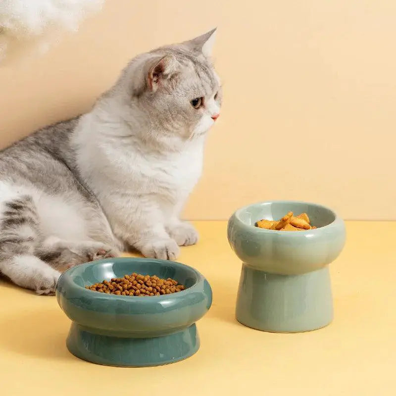 Ceramic Elevated Pet Feeding Bowl for Cats and Dogs