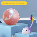 Smart Cat Teasing Ball for Curious Cats
