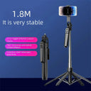 Stainless Steel Phone Tripod Stand With Remote