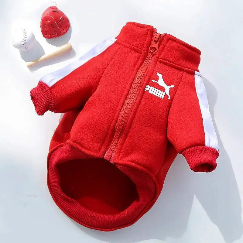 Winter Pet Baseball Jacket For Small To Medium Dogs