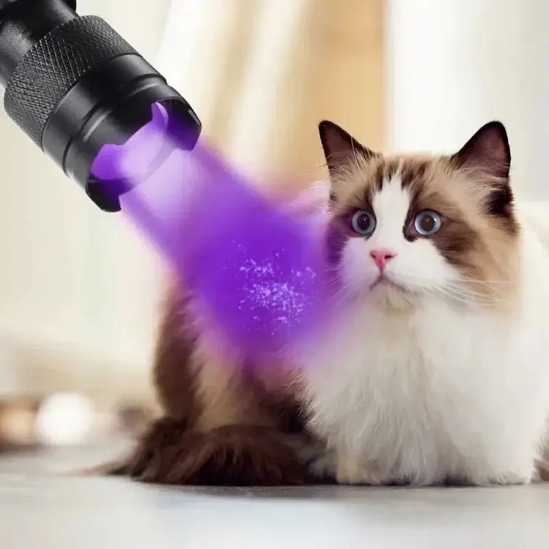 365Nm UV Flashlight - Zoomable Pet Stain Detector