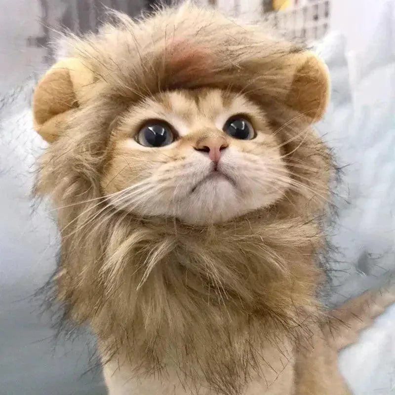 Cute Lion Mane Costume Hat Pets Adorable Dress Up Accessory