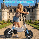 Dyu Folding Electric Bike Urban