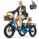 Cybervelo Adult Folding Fat Tire E-Tric