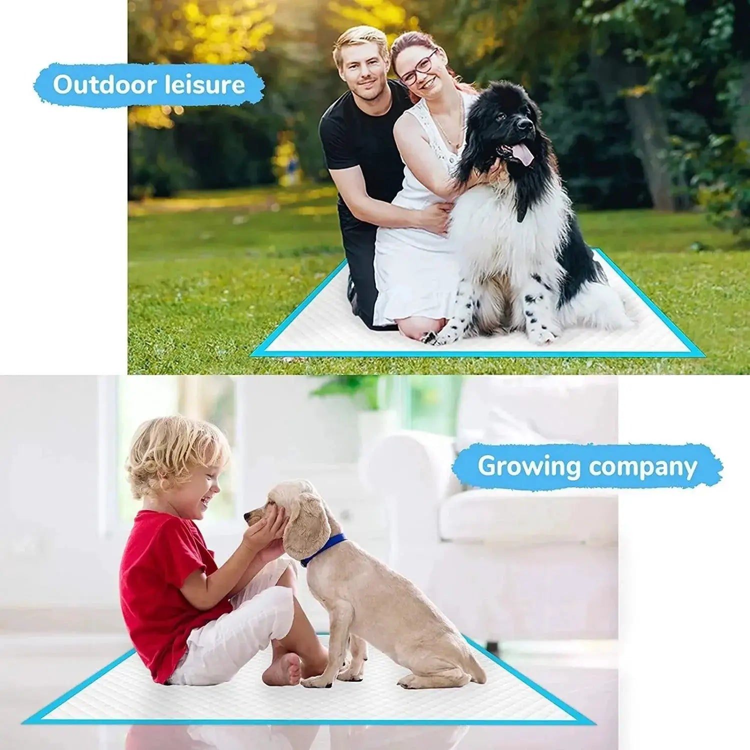 Super Absorbent Pet Training Pads Quick Dry Disposable Mat
