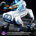 Robot Dog for Kids: Singing 2.4G RC Toy