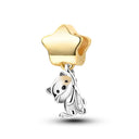 Charm Beads Sterling Silver Golden
