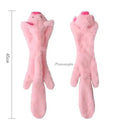 Dental Health Plush Dog Toy for Chewers
