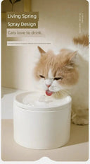 Ceramic Cat Water Fountain for Hydration
