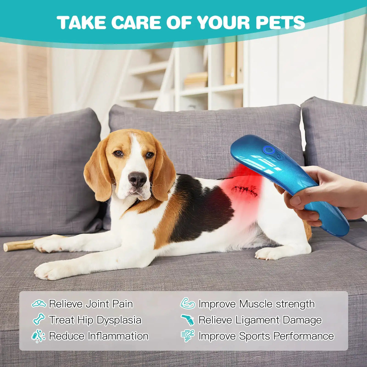 Pet Red Light Therapy Device for Dogs Cats Cold Laser — product view 3