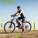 Fast Fat Tire Electric Bike