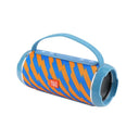 FM Radio Computer Audio Speaker