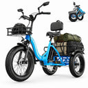 Cybervelo Adult Folding Fat Tire E-Tric
