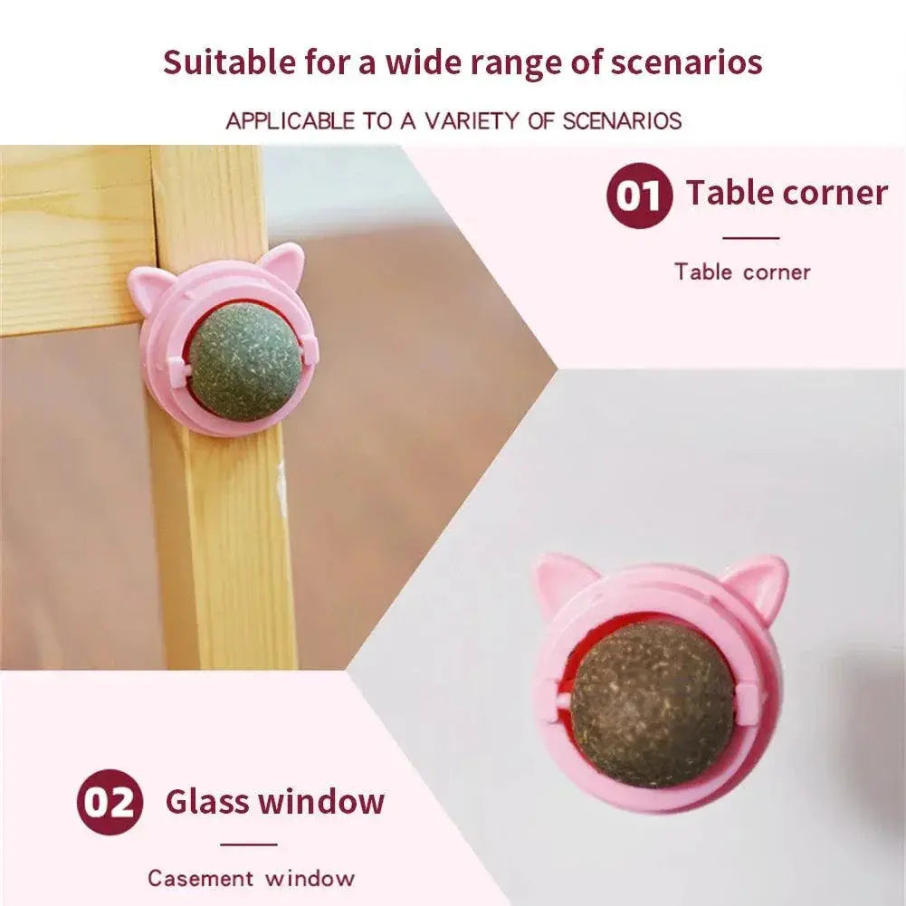 Catnip Wall Ball Cat Toy for Cats Dental Health for Kittens