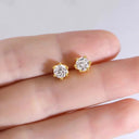 Moissanite Stud Earrings in Sterling Silver Fashion