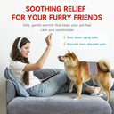 Dog Cold Laser Therapy Device Infrared Red Light for Joint and Muscle Relief