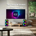 Portable Bluetooth Karaoke Speaker
