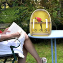 Birds Carrier Backpack: Transparent Double Shoulder Bag