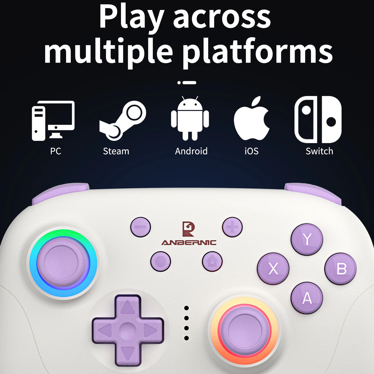 Anbernic Game Controller Play