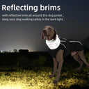 Dog Winter Jacket: Cozy Waterproof Reflective Coat for Dogs