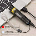 Mini UV Flashlight - Reliable Pet Stain Scanner