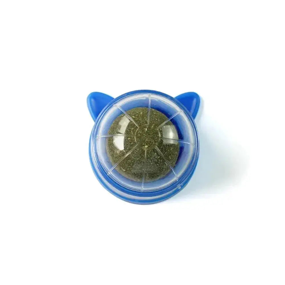 Catnip Wall Ball Cat Toy for Cats Dental Health for Kittens