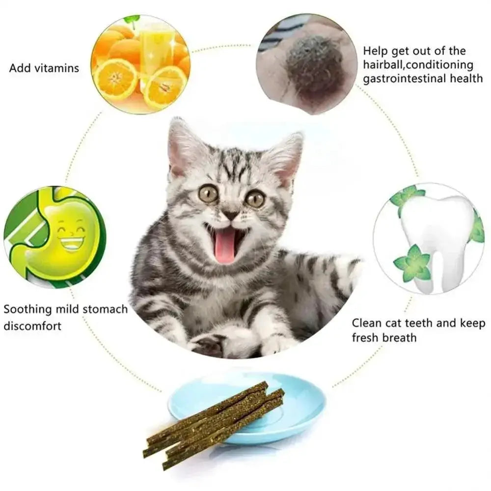 Silvervine Cat Sticks Anxiety Relief and Oral Health