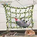 Colorful Pet Climbing Hammock for Small Pets Health Fun