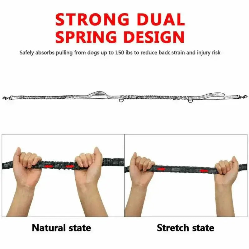 Reflective Hands Free Dog Leash With D Ring Harness Design