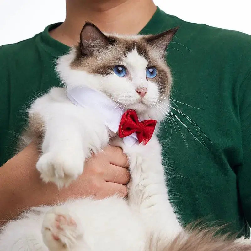 Adjustable Pet Bow Tie For Small Dogs And Cats Grooming