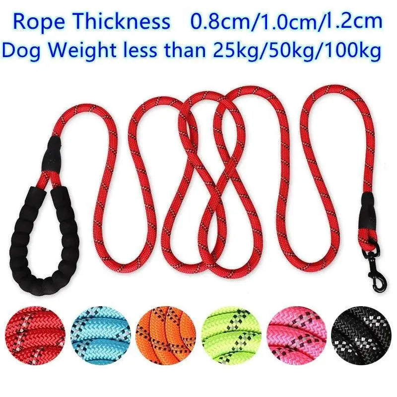 Strong Reflective Dog Leash For Small To Large Breeds