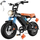 Adult Off Road Electric Dirt Bike