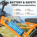 Adult Fat Tire Electric Bicycle