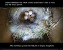 Smarter Bird Box Camera for Birdwatchers