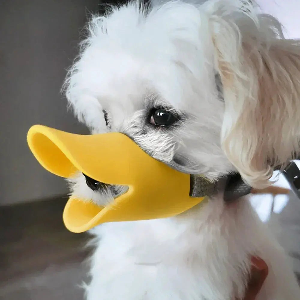 Dog Muzzle for Safe Barking and Biting — product view 18